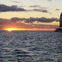 Ashley Morris entered this sunset photo taken on Waikiki Beach,  Hawaii.