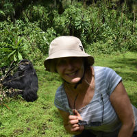Deborah Wiener entered this photo trekking gorillas in Rwanda.