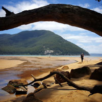 Dovi Broner entered this holiday photo taken at Sealers Cove, Wilsons Promontory.