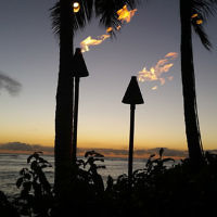 Melissa Morris entered this sunset photo taken on Waikiki Beach,  Hawaii.