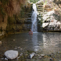 Rachel Stanton entered this photo taken at Ein Gedi Waterfalls in Israel.
