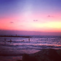 Alana Ramler entered this photo taken at sunset at Tel Aviv beach.