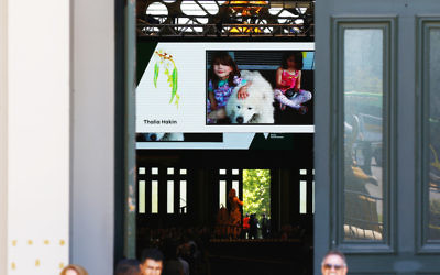The image of Thalia on screen at the Royal Exhibition building. Photo: Peter Haskin.