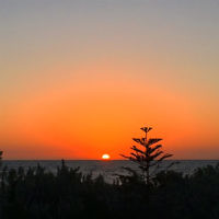 Aviel Tamir entered this sunset photo.