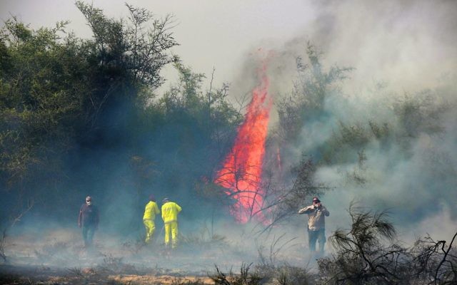 Israeli firefighters trying to extinguish a fire at the Carmia nature reserve last month, believed to have been ignited by a fire kite or balloon from Gaza. Photo: EPA/Abir Sultan