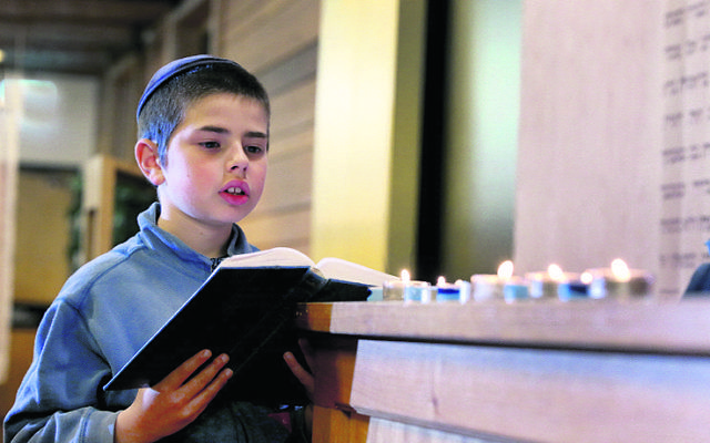Tuvia Kastel reciting tehilim at Chabad North Shore. Photo: Noel Kessel