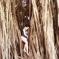 Yael Rothschild entered this holiday of Jacob and Laila Richardson climbing a tree in Cairns.