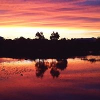 Melissa Morris entered this sunset photo taken at Shearwater Wetland.