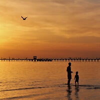 SUNSET FINALIST D: Sunset at Aspendale beach, Victoria. Photo entered by Sharon Flitman.