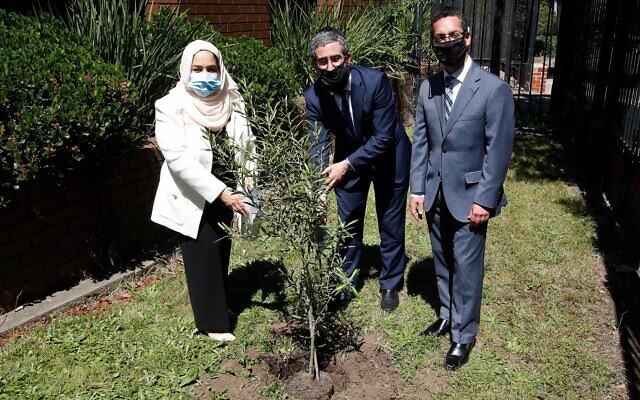 From left: Dr Nariman Al Mulla, Rabbi Yaakov Glasman and Anton Block planting the olive tree. Photo: Peter Haskin