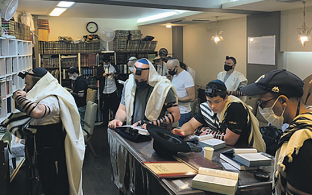 Shacharit in the Tokyo Chabad house. Photo: Chabad Tokyo/ynet