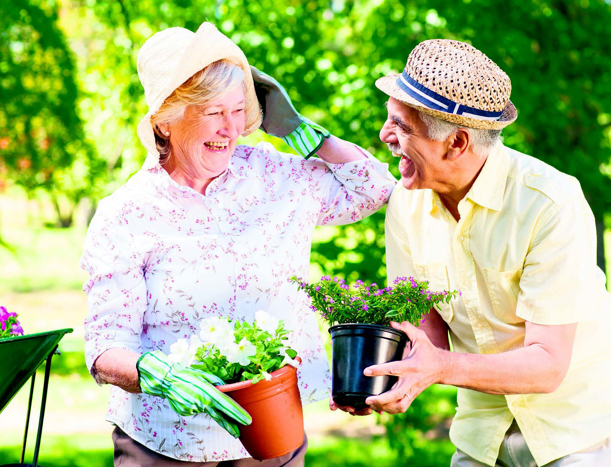 Домашнее хозяйство пенсионерки. Пожилые люди в саду. Хобби для пожилых людей. Пенсионеры на даче. Увлечения пенсионеров.