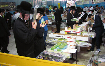 Inspecting the Arba Minim at a Jerusalem market. Photo: Wikipedia