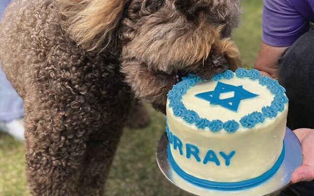 Murray tastes the beautiful bark mitzvah cake.