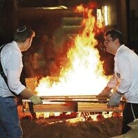 Let's throw another pallet on the bonfire. Lag B'omer at Mizrachi. Let's throw another pallet on the bonfire. Lag B'omer at Mizrachi.