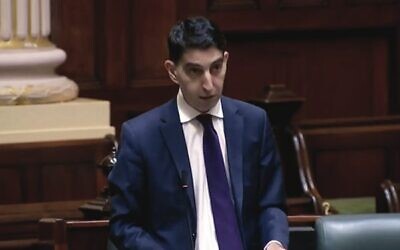 Paul Hamer speaking in State Parliament last Monday.
Photo: Screengrab