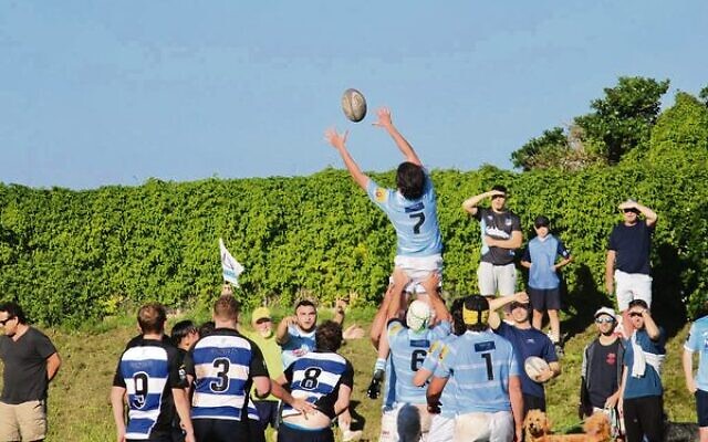 Aaron Stern wins a lineout for Maccabi versus the Sydney Convicts last Saturday.