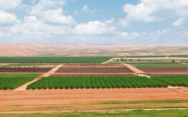 Green fields, arable land and fruit plantations in the Negev desert.