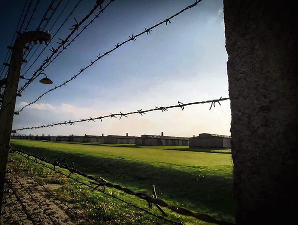 A fence and barracks at Auschwitz. Photo: MOTL