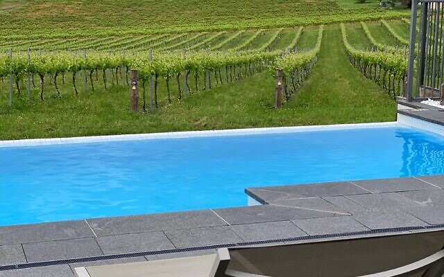 Relax in the pool with views of rolling hills and vineyards at The Louise luxury lodge in the Barossa Valley.