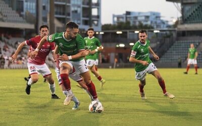 Jordi Swibel on the attack for Marconi versus Wollongong on February 17 at WIN Stadium. Photo: Alen Delic/Football NSW