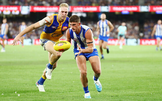 After just one game, Harry Sheezel has already become a cult figure at the club and is in line for the Round 1 NAB Rising Star nomination. Photo: Peter Haskin