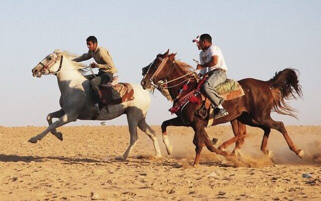 Bedouins racing their horses in the south. Photo: Peter Haskin