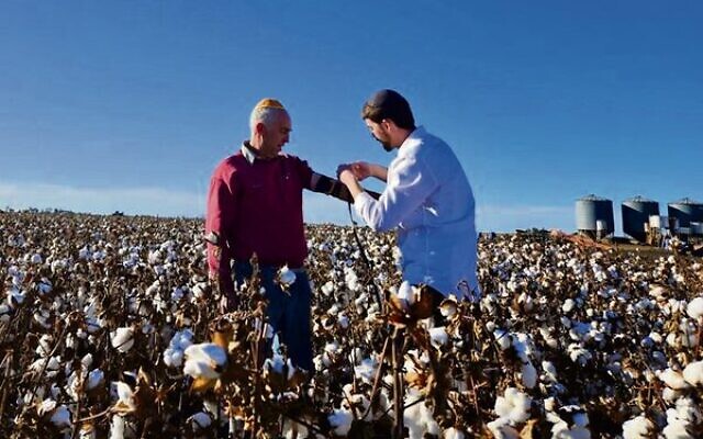 Rabbi Yaakov Zarchi putting tefillin on Howard Rother in his cotton fields in Queensland's Darling Downs last week.