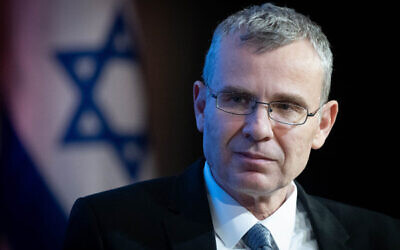 Justice Minister Yariv Levin. Photo: Chaim Goldberg/ Flash90