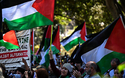 People with placards and flags attend a pro-Palestinian rally at Hyde Park in Sydney on October 15, 2023. (The Times of Israel: Saeed Khan/AFP)
