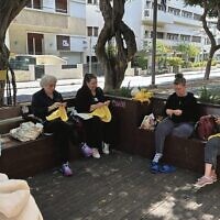 Israeli women in Tel Aviv knitting tree huggers