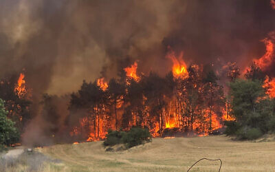 Fires ravaged the Jerusalem hills. Photo: KKL-JNF