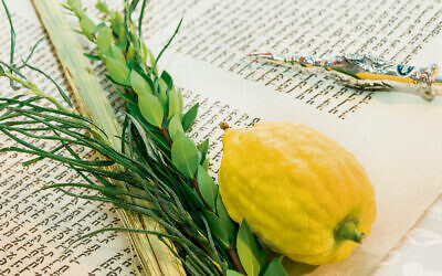 Photo: Dreamstimelirika/Dreamstime.com
