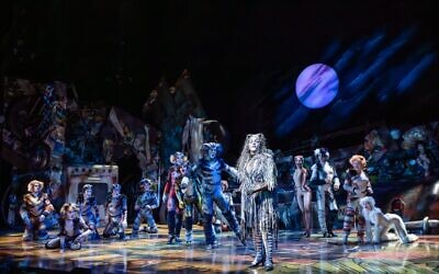 Grizabella, played by Gabriyel Thomas (centre) in a scene in Cats at Hamer Hall, Arts Centre Melbourne. Photo: Daniel Boud