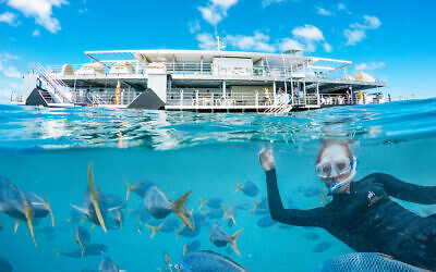 Reefworld on the Great Barrier Reef is undergoing a multi-million-dollar refurbishment. Photo: Journey Beyond