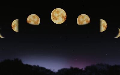 Phases of our lunar calendar. Photo: Cornelius20/Dreamstime.com