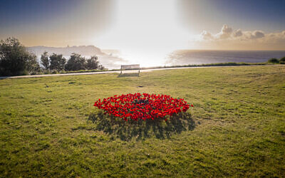 The installation at Marks Park. Photo: Darian Krost Films