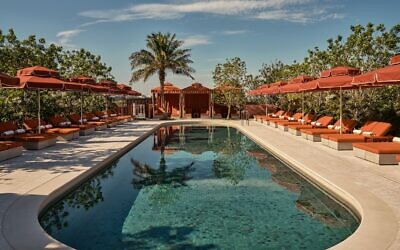 The rooftop pool at The Eve Hotel Sydney. Photo: Georg Roske