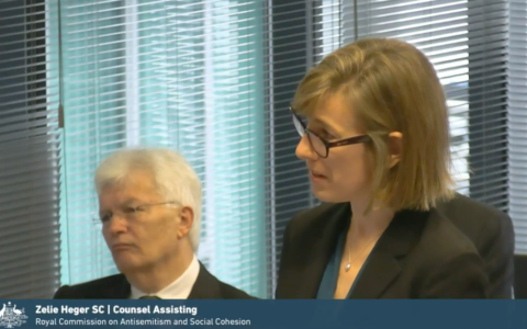 Counsel Assisting, Zelie Heger SC. Photo: screenshot