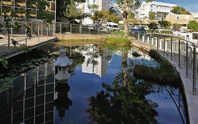 Sheba Medical Centre at Tel Hashomer. Photo: Israel Preker/Pikiwiki Israel