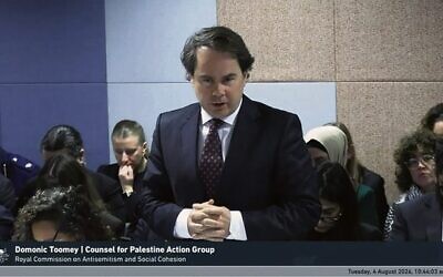 Palestine Action Group counsel Dominic Toomey questions David Ossip last week.