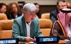 Penny Wong at the UN in New York. Photo: Facebook