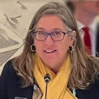 Anne Herzberg of NGO Minitor. Photo: Facebook