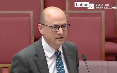 Labor senator Raff Ciccone. Photo: Facebook