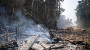 الدخان يتصاعد من اشجار محروقة في غابات الأمازون البرازيلية، 24 اغسطس 2019 (CARL DE SOUZA / AFP)