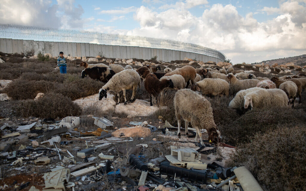 النفايات على طول الجدار الفاصل. يشتكي رعاة محليين من أن العدوى تسبب تشوهات في الحيوانات. (Tamir Kalifa)