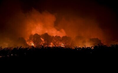 حريق غابات في أورخيس، كوفيلا في وسط البرتغال، 16 أغسطس 2022 (PATRICIA DE MELO MOREIRA / AFP)
