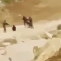 جنود إسرائيليون من كتيبة "نيتسا يهودا" الدينية يضربون اثنين من المعتقلين الفلسطينيين في الضفة الغربية ، في مقطع فيديو نُشر على تطبيق TikTok في  15 أغسطس، 2022. (Screenshot: TikTok)