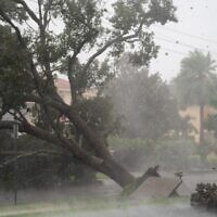 اقتلعت الرياح العاتية شجرة من جذورها  مع اتجاه الإعصار إيان يتجه نحو الجنوب في 28 سبتمبر، 2022 في ساراسوتا بولاية فلوريدا. Photo by) Sean Rayford / GETTY IMAGES NORTH AMERICA / Getty Images via AFP)