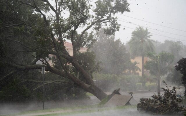 اقتلعت الرياح العاتية شجرة من جذورها  مع اتجاه الإعصار إيان يتجه نحو الجنوب في 28 سبتمبر، 2022 في ساراسوتا بولاية فلوريدا. Photo by) Sean Rayford / GETTY IMAGES NORTH AMERICA / Getty Images via AFP)